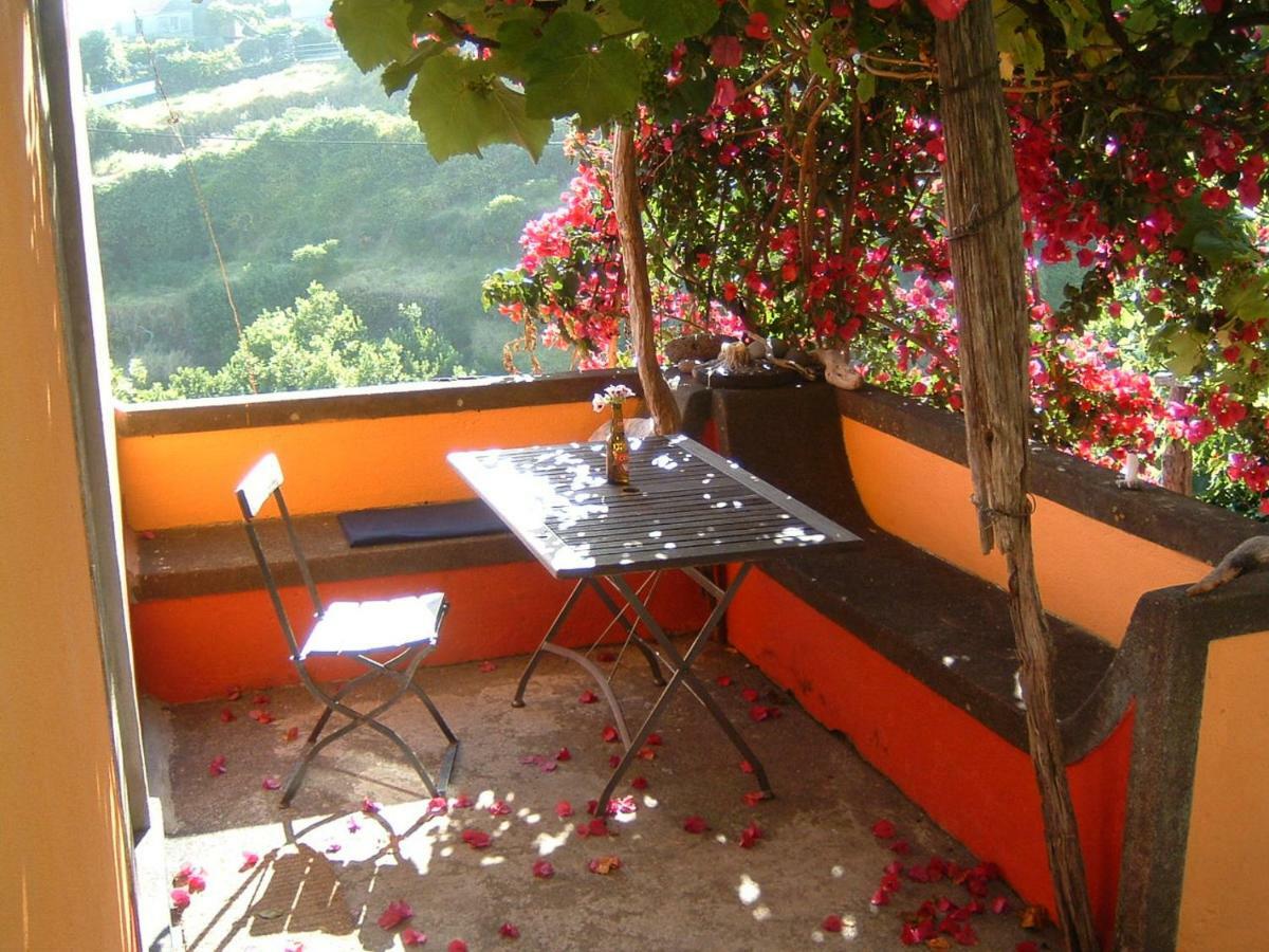 Madeira-Meerblick-Haus Estreito Da Calheta エクステリア 写真