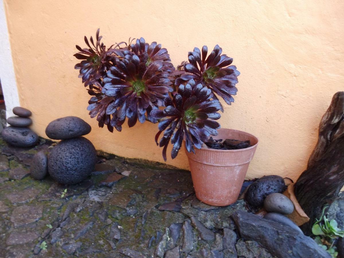 Madeira-Meerblick-Haus Estreito Da Calheta エクステリア 写真