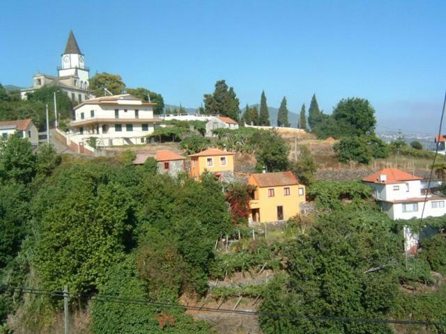 Madeira-Meerblick-Haus Estreito Da Calheta エクステリア 写真