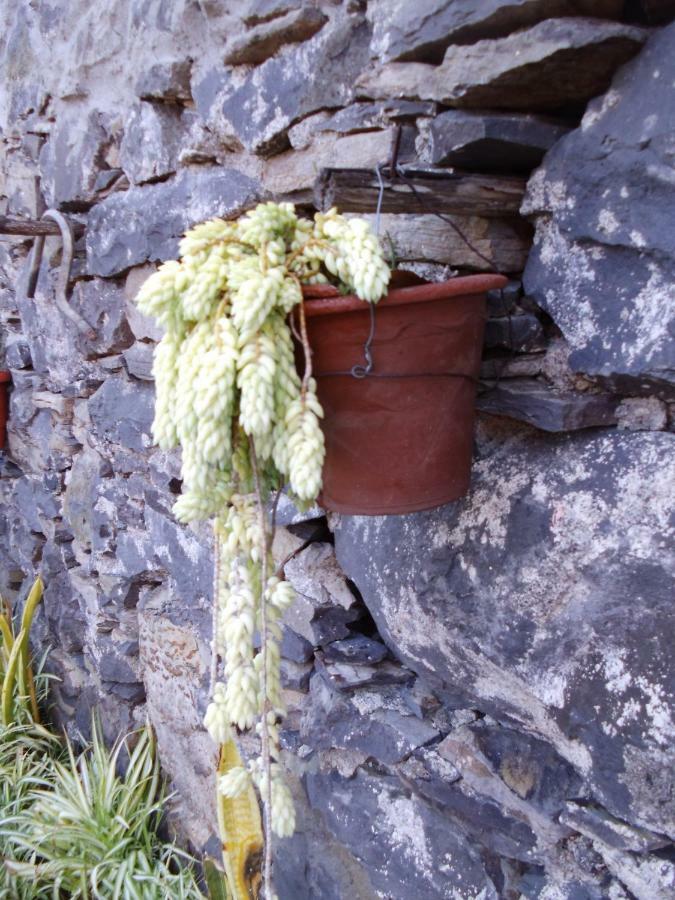 Madeira-Meerblick-Haus Estreito Da Calheta エクステリア 写真